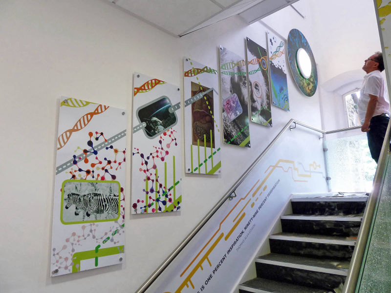 Wall graphics lancashire school designer